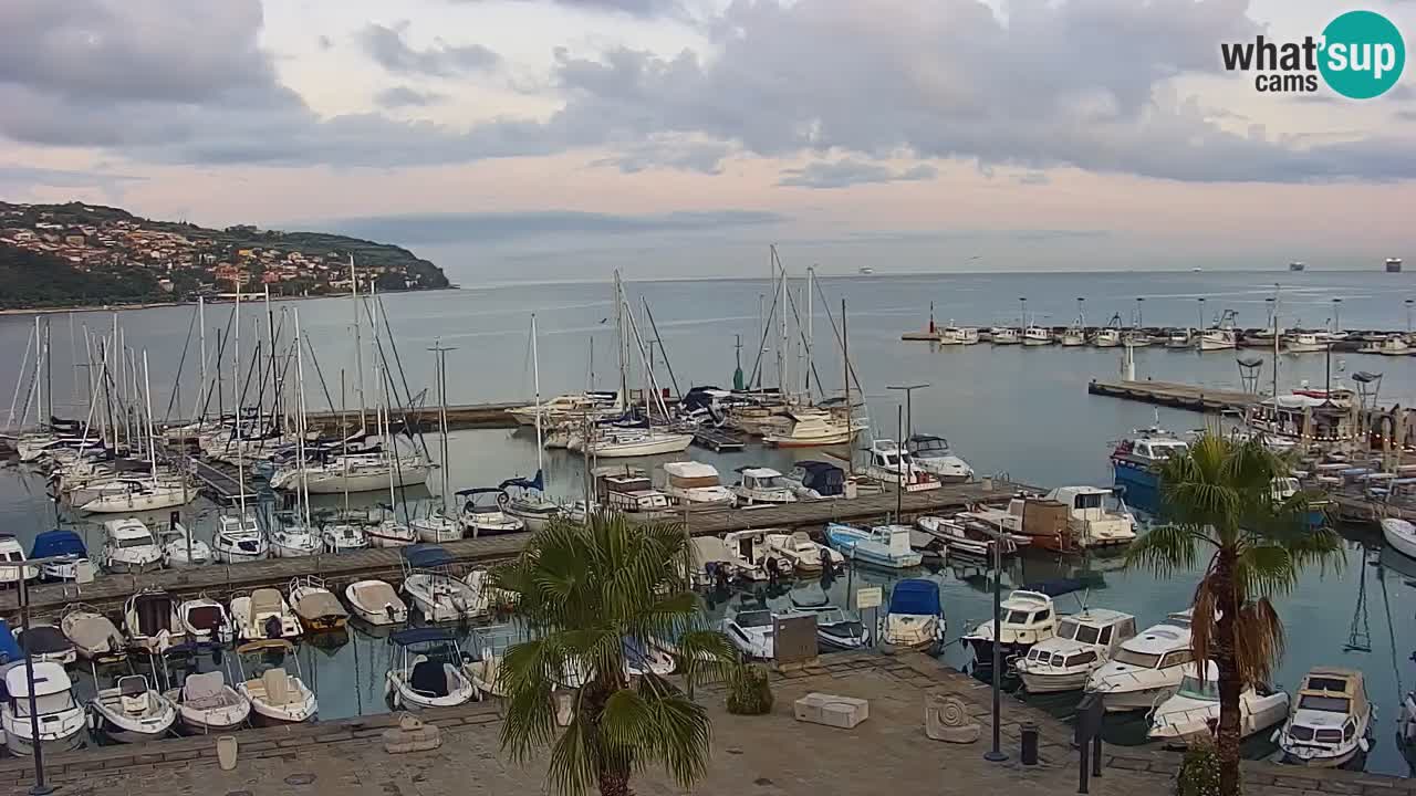 Webcam Koper – Panorama of the marina and promenade from the Grand Hotel Koper