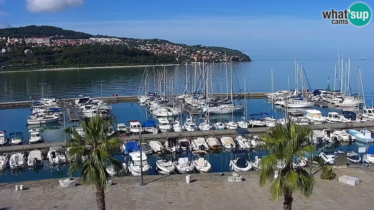 Web kamera Koper – marina i promenada – hotel Grand Koper