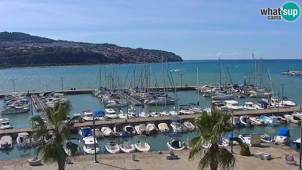 Camera en vivo Koper – puerto deportivo y paseo marítimo desde el Hotel Grand Koper