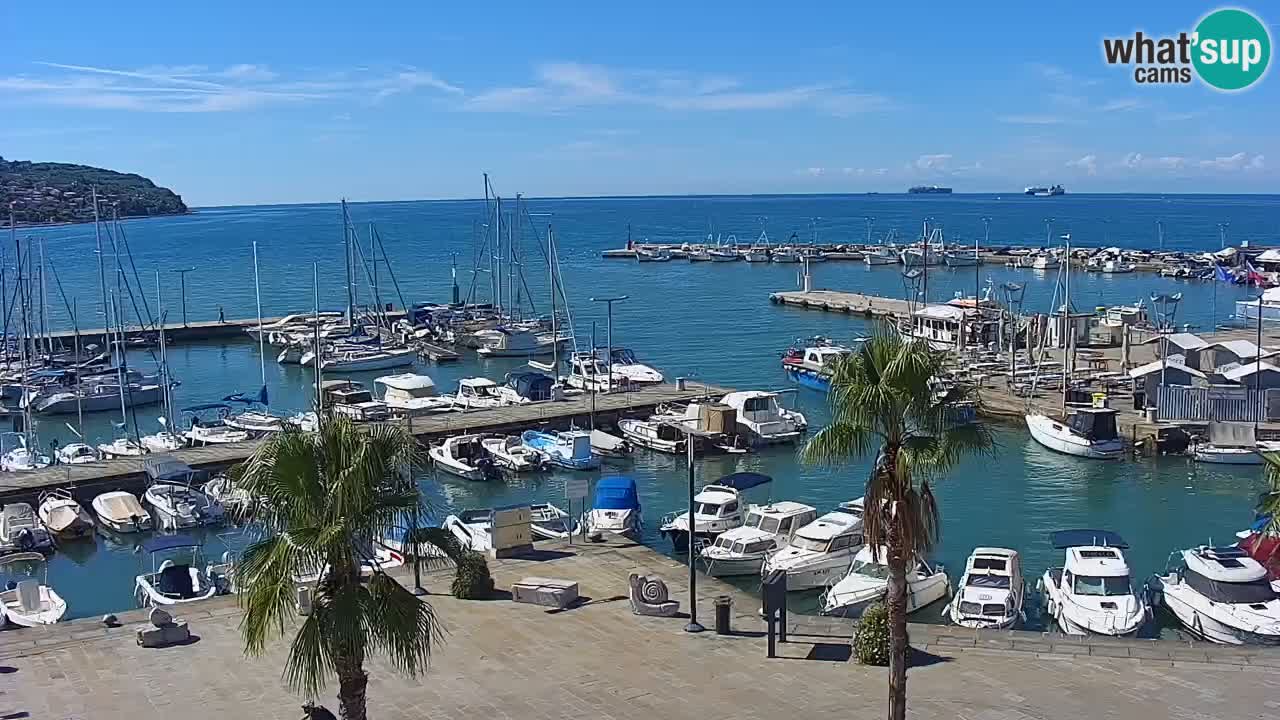 Camera en vivo Koper – puerto deportivo y paseo marítimo desde el Hotel Grand Koper