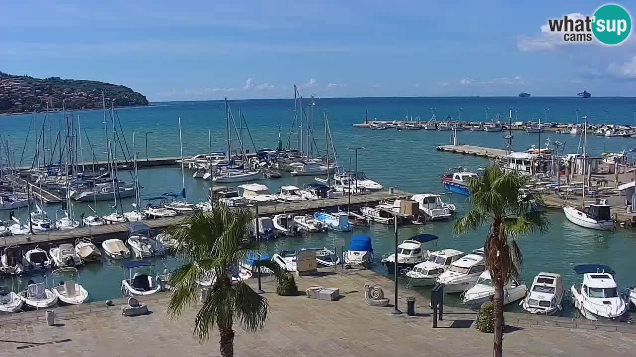 Web kamera Koper – marina i promenada – hotel Grand Koper