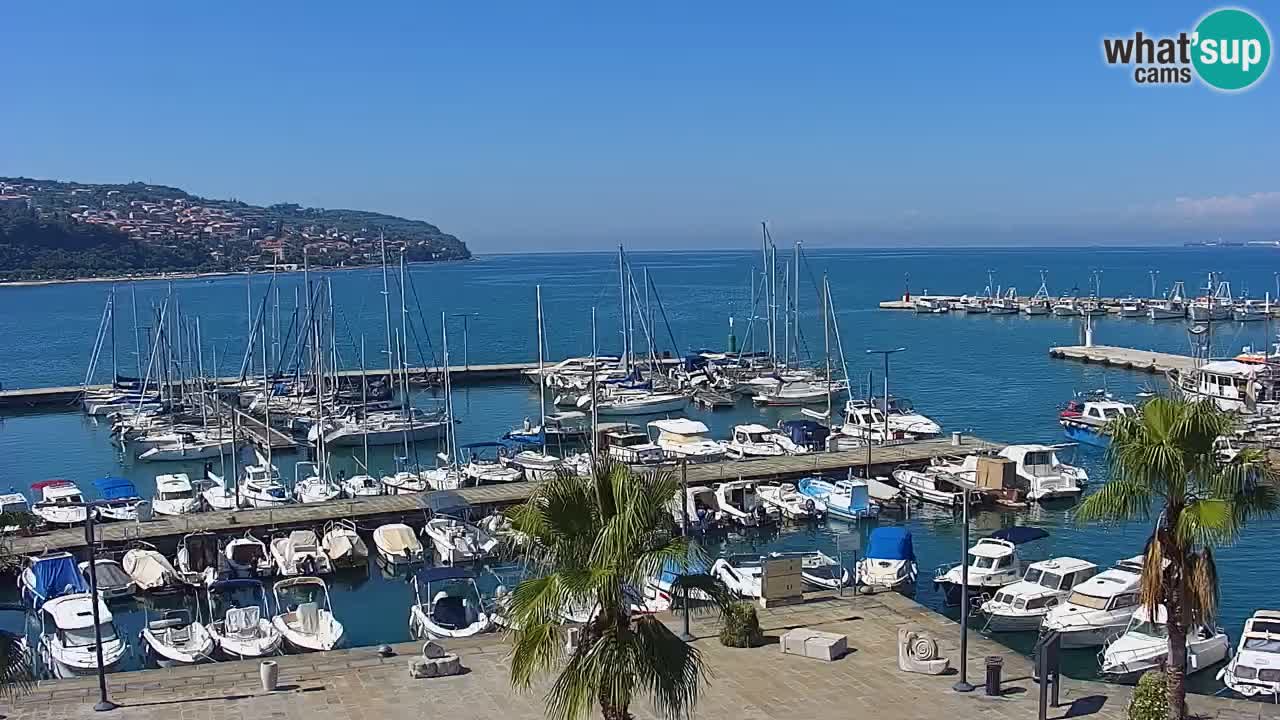 Webcam Koper – Panorama of the marina and promenade from the Grand Hotel Koper