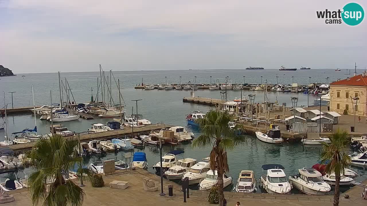 Camera en vivo Koper – puerto deportivo y paseo marítimo desde el Hotel Grand Koper