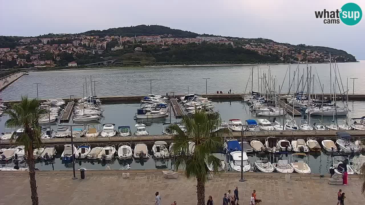 The Port of Koper live webcam – cruise and cargo port – Slovenia