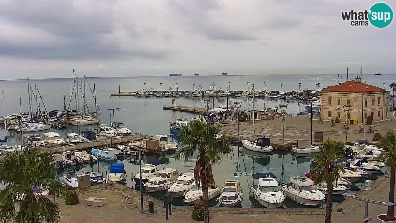 Webcam Koper – Panorama of the marina and promenade from the Grand Hotel Koper