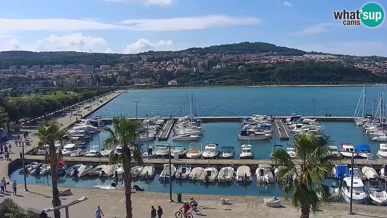 Web kamera Koper – marina i promenada – hotel Grand Koper