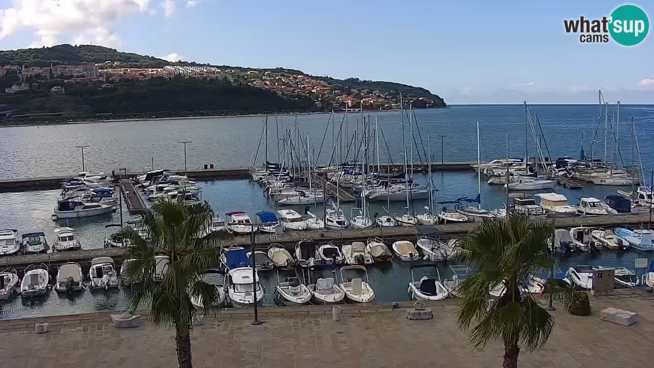 Web kamera Koper – marina i promenada – hotel Grand Koper
