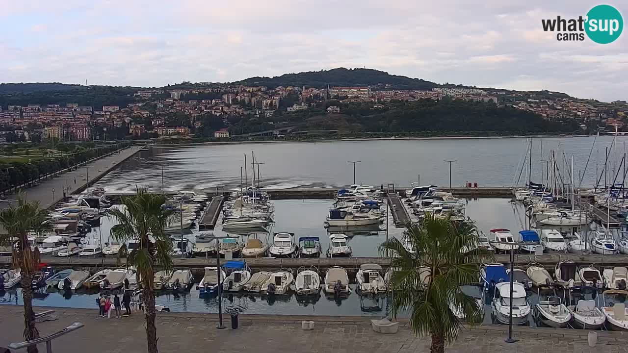 Spletna kamera Koper – Panorama na marino in promenado s Hotela Grand Koper