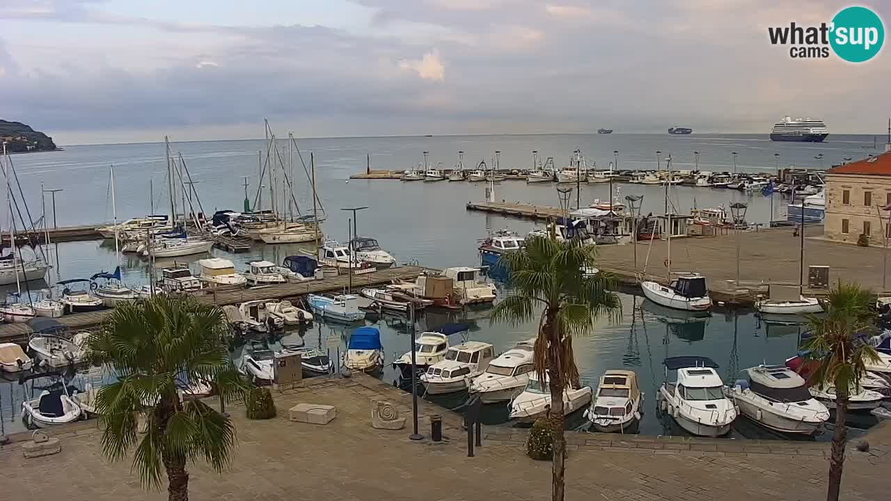 Camera en vivo Koper – puerto deportivo y paseo marítimo desde el Hotel Grand Koper