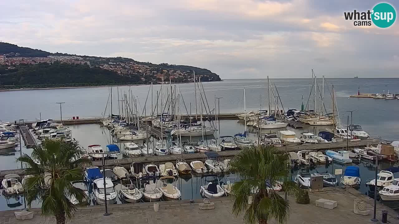 Camera en vivo Koper – puerto deportivo y paseo marítimo desde el Hotel Grand Koper