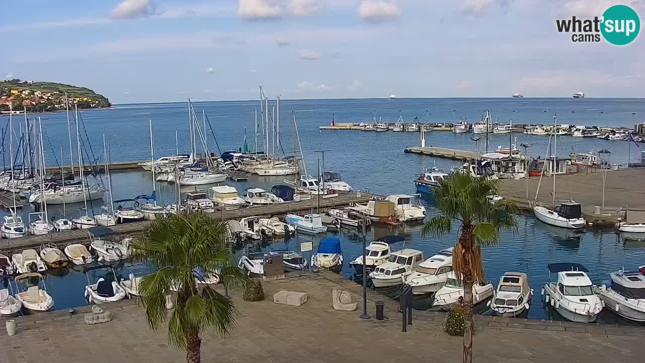 Webcam Capodistria – marina e lungo mare dall’Hotel Grand Koper