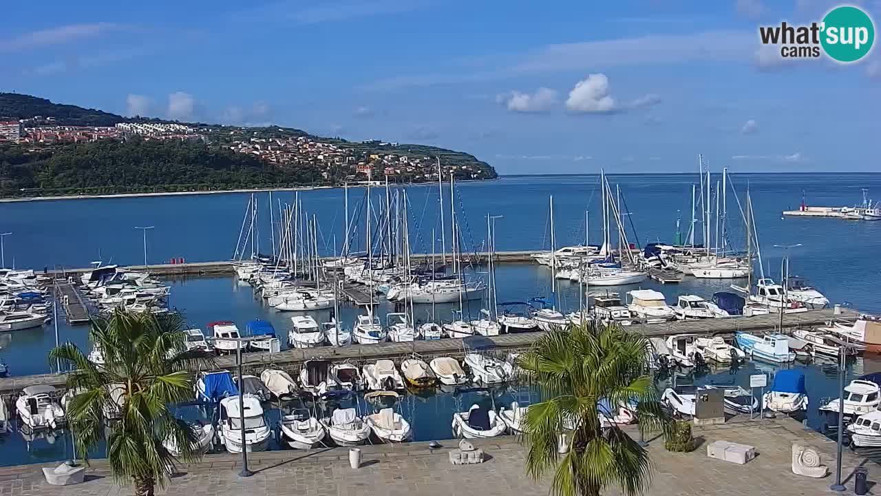 Camera en vivo Koper – puerto deportivo y paseo marítimo desde el Hotel Grand Koper