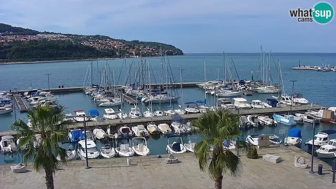 Webcam en direct du port de Koper – port de croisière et de fret – Slovénie