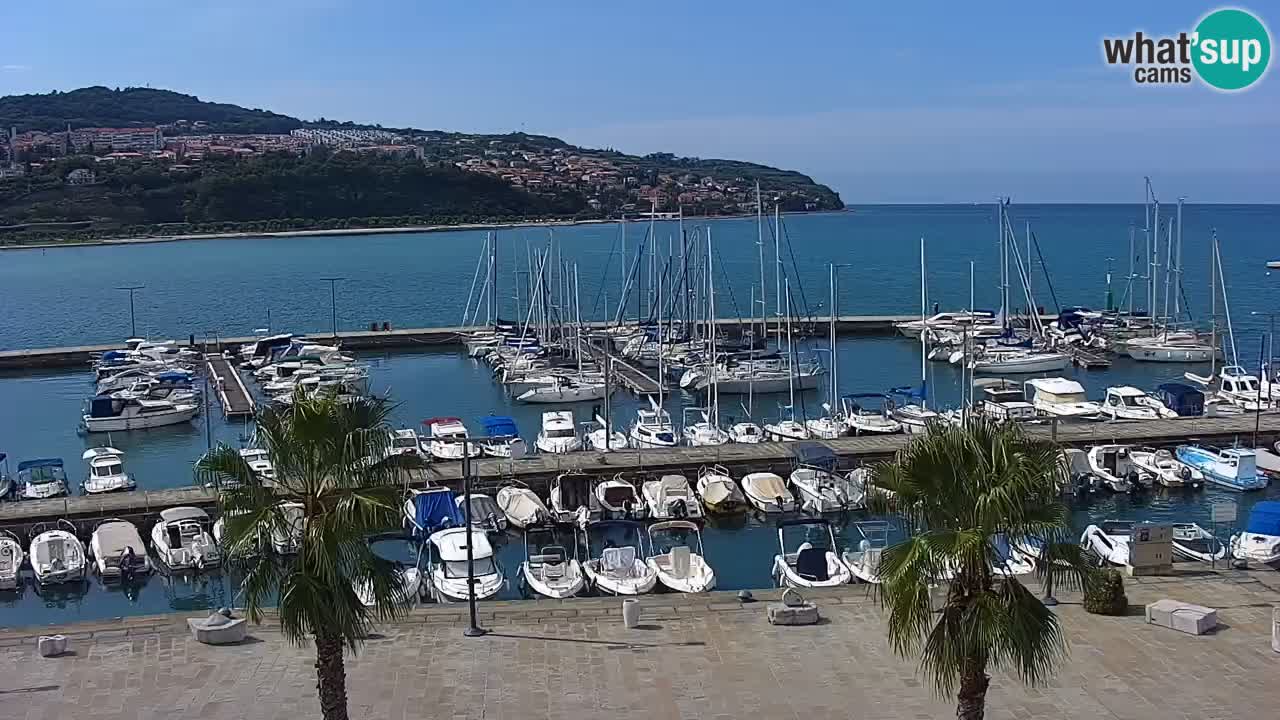 Webcam Koper – Panorama de la marina et de la promenade depuis le Grand Hotel Koper