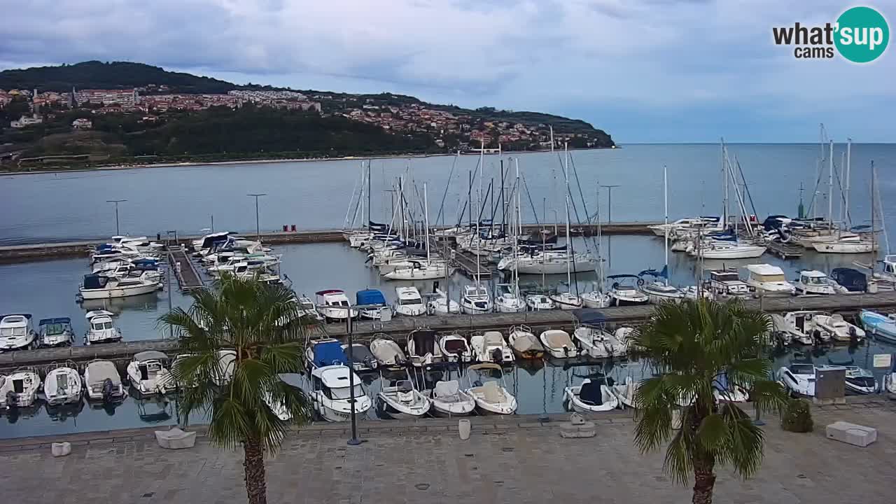 Camera en vivo Koper – puerto deportivo y paseo marítimo desde el Hotel Grand Koper