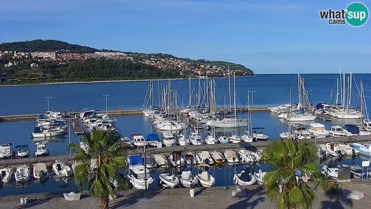 Spletna kamera Koper – Panorama na marino in promenado s Hotela Grand Koper