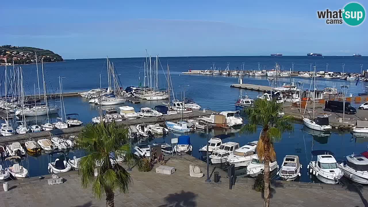 Webcam Koper – Panorama de la marina et de la promenade depuis le Grand Hotel Koper