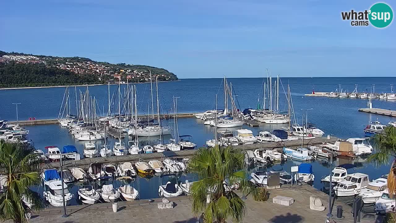 Web kamera Koper – marina i promenada – hotel Grand Koper