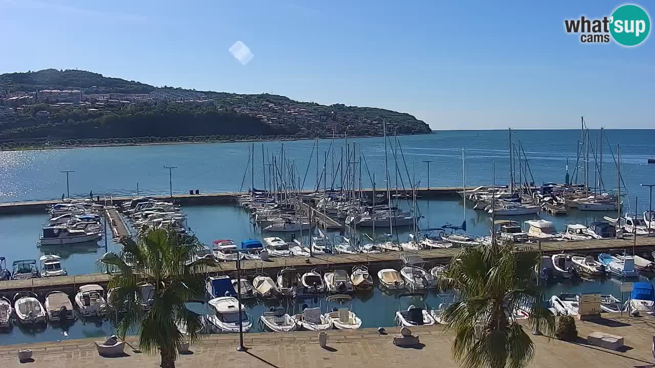 Spletna kamera Koper – Panorama na marino in promenado s Hotela Grand Koper