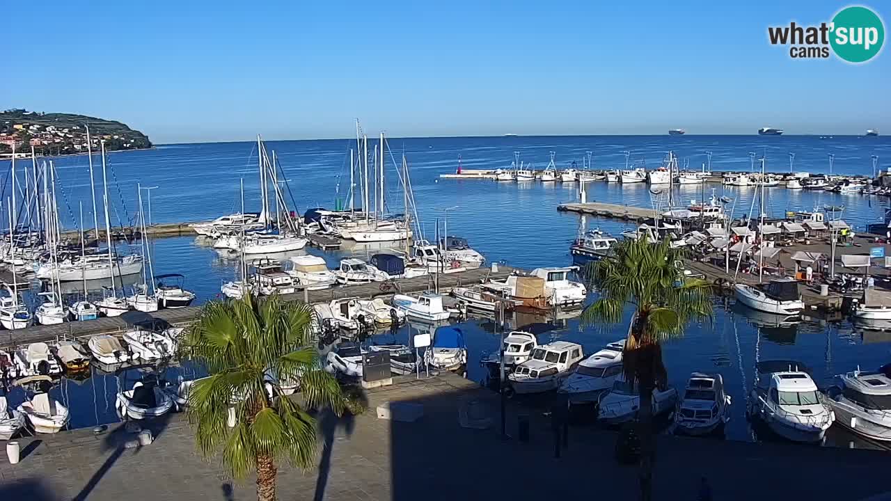 Webcam Koper – Panorama of the marina and promenade from the Grand Hotel Koper