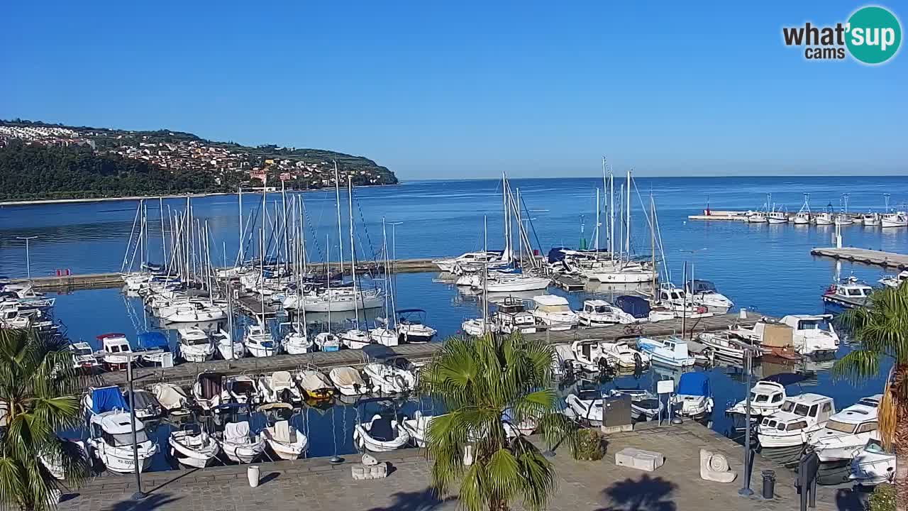 Camera en vivo Koper – puerto deportivo y paseo marítimo desde el Hotel Grand Koper