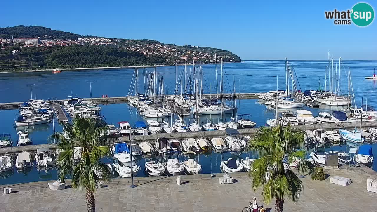 Camera en vivo Koper – puerto deportivo y paseo marítimo desde el Hotel Grand Koper