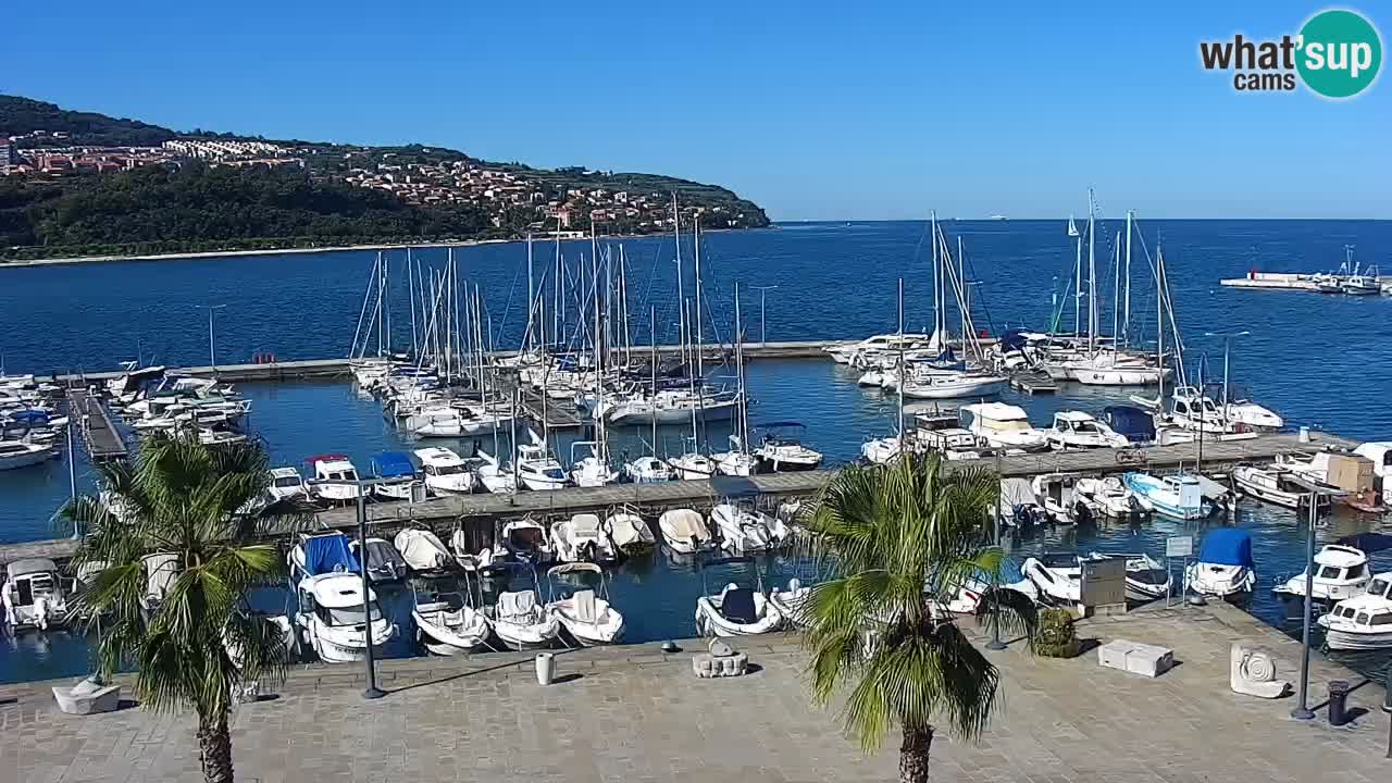 Camera en vivo Koper – puerto deportivo y paseo marítimo desde el Hotel Grand Koper