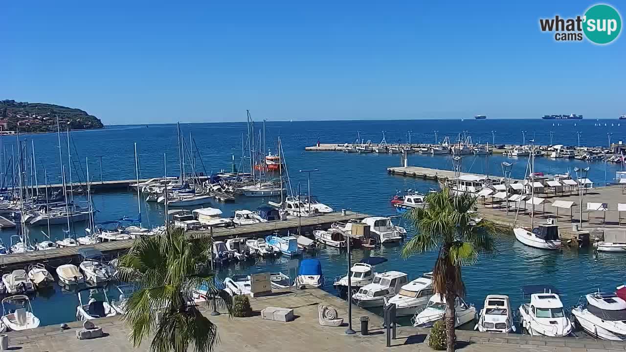 Webcam Koper – Panorama de la marina et de la promenade depuis le Grand Hotel Koper