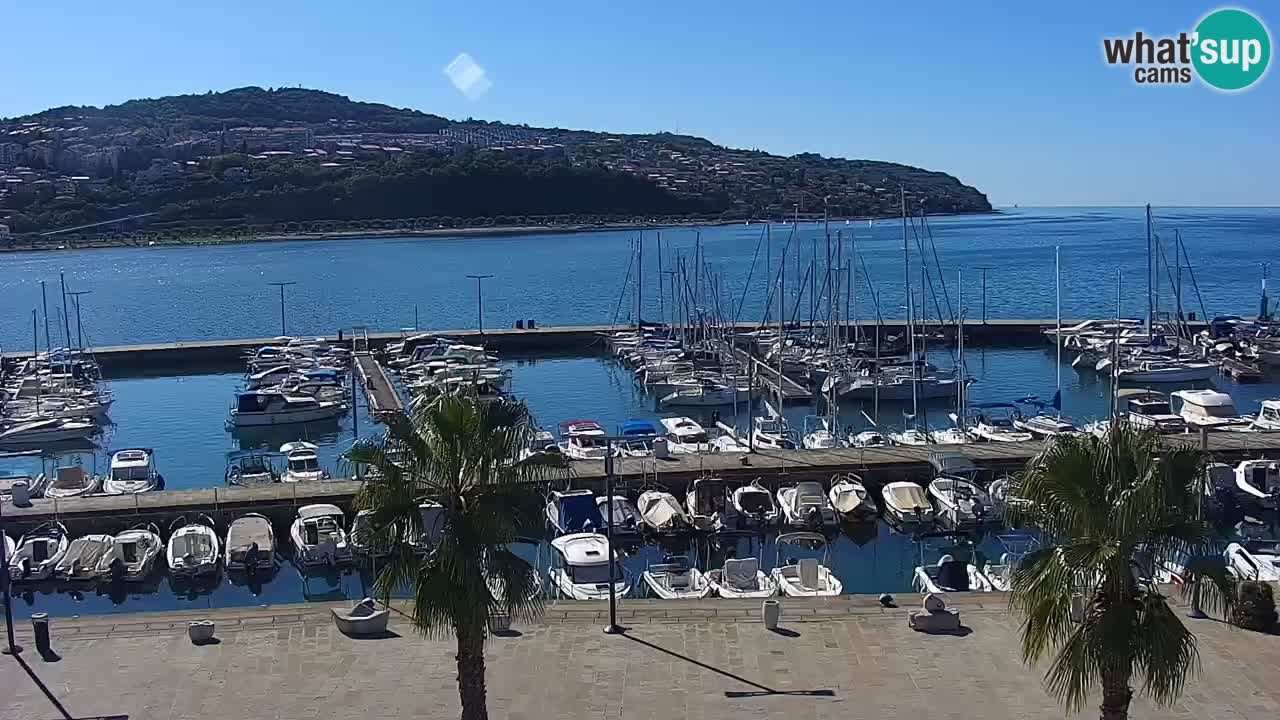 Webcam Koper – Panorama of the marina and promenade from the Grand Hotel Koper