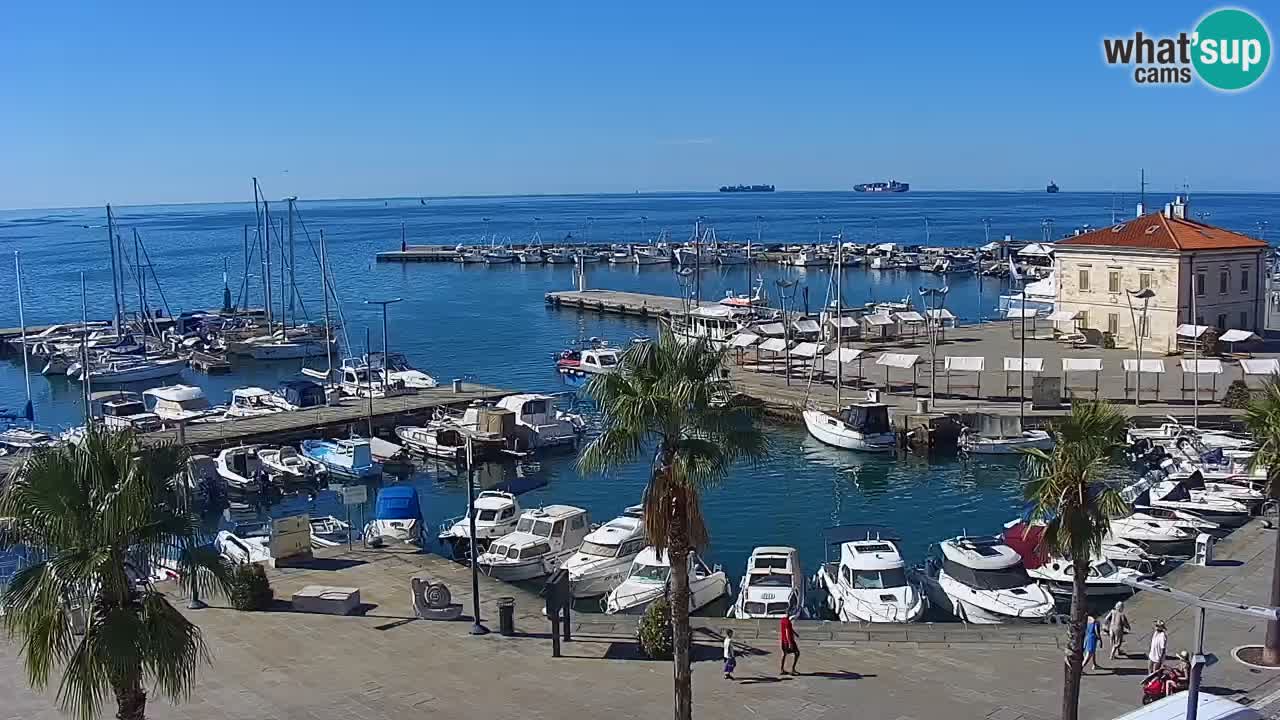 Spletna kamera Koper – Panorama na marino in promenado s Hotela Grand Koper