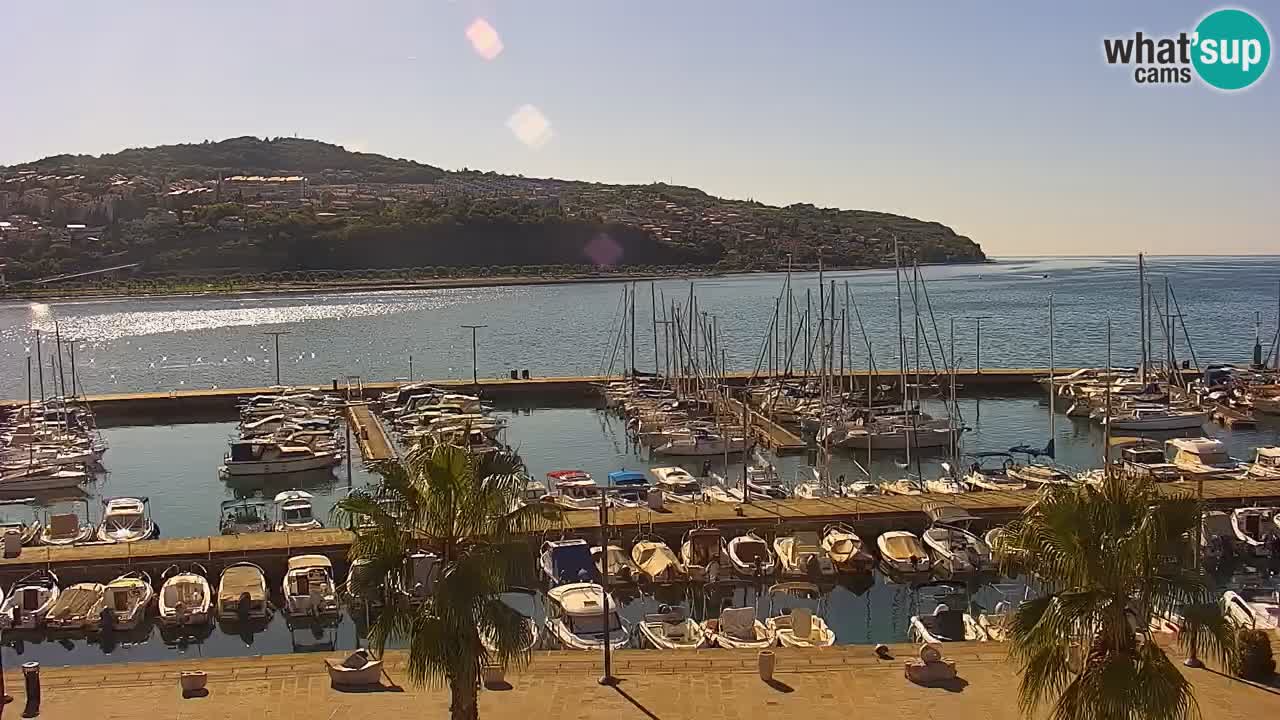 Camera en vivo Koper – puerto deportivo y paseo marítimo desde el Hotel Grand Koper
