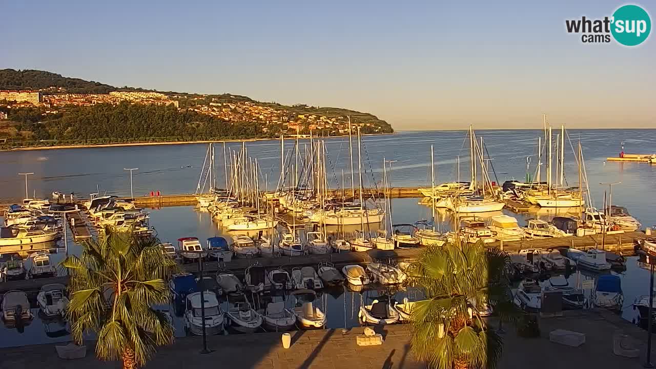 Spletna kamera Koper – Panorama na marino in promenado s Hotela Grand Koper