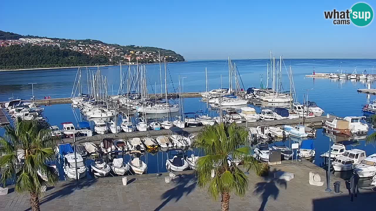 Webcam Koper – Panorama de la marina et de la promenade depuis le Grand Hotel Koper