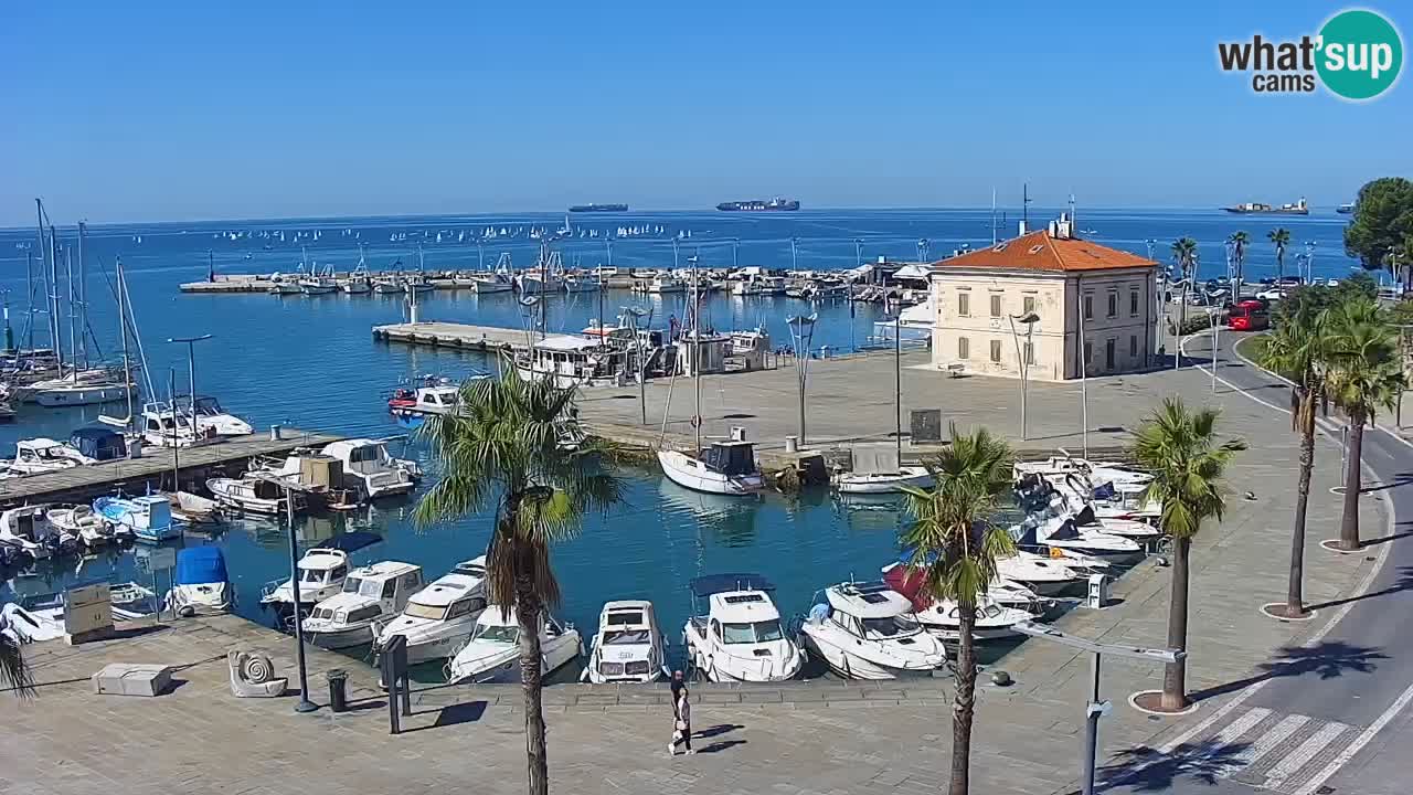 Webcam Koper – Panorama of the marina and promenade from the Grand Hotel Koper