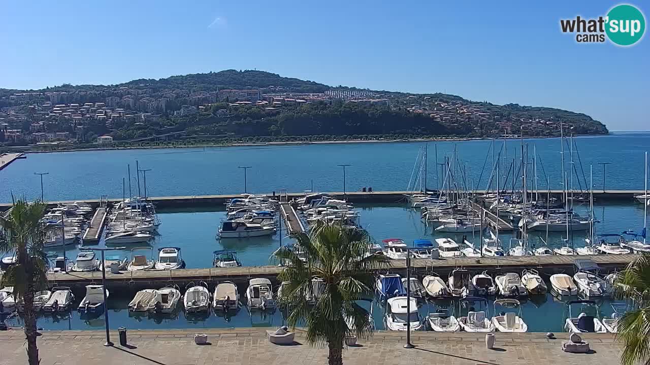 Spletna kamera Koper – Panorama na marino in promenado s Hotela Grand Koper