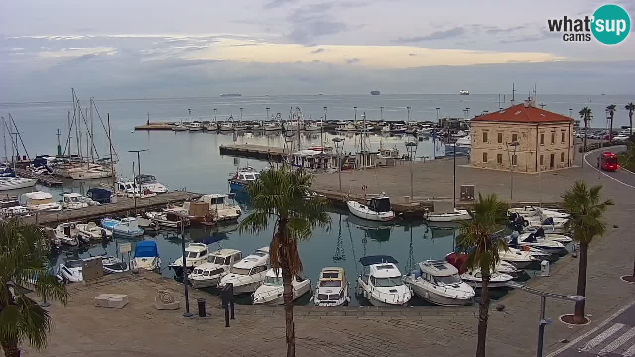 Camera en vivo Koper – puerto deportivo y paseo marítimo desde el Hotel Grand Koper