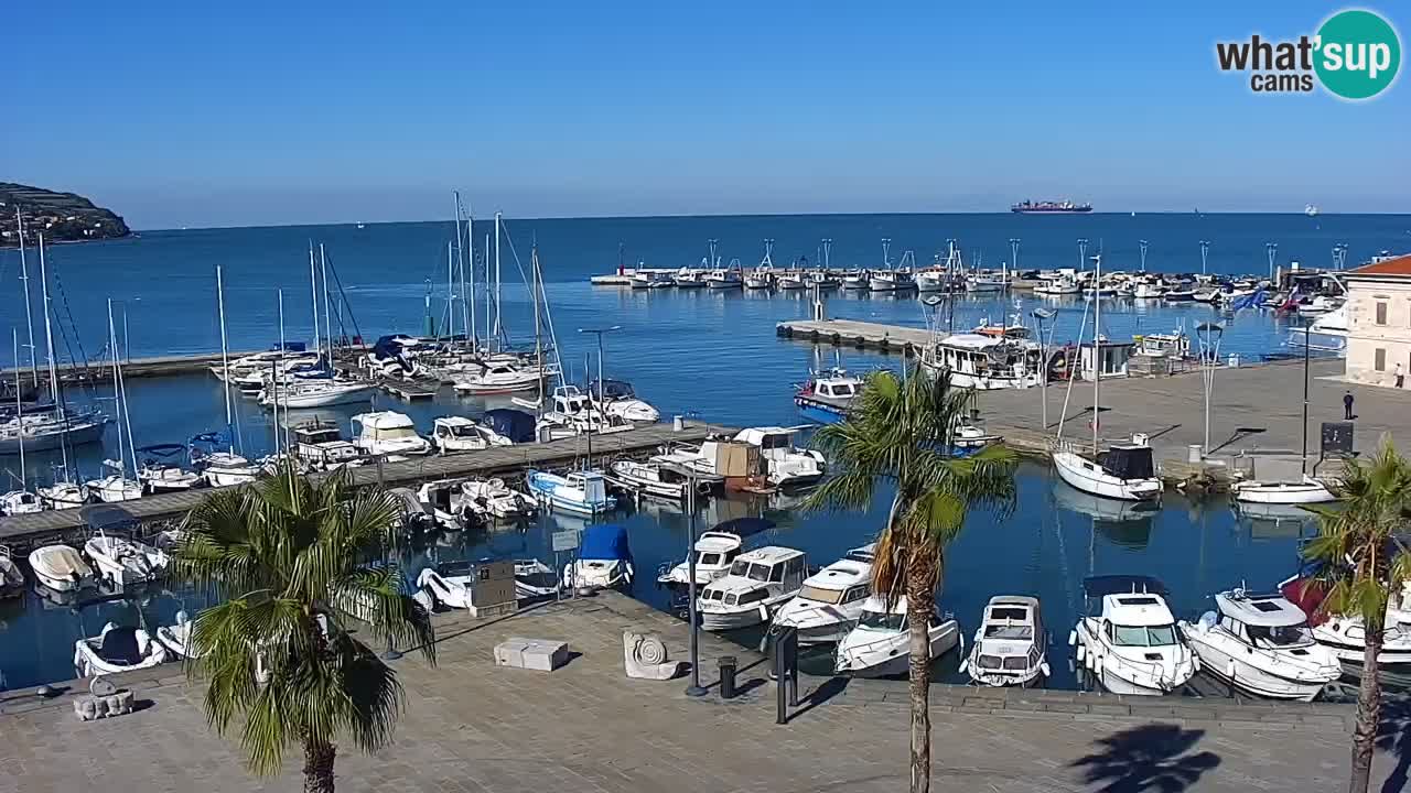 Web kamera Koper – marina i promenada – hotel Grand Koper