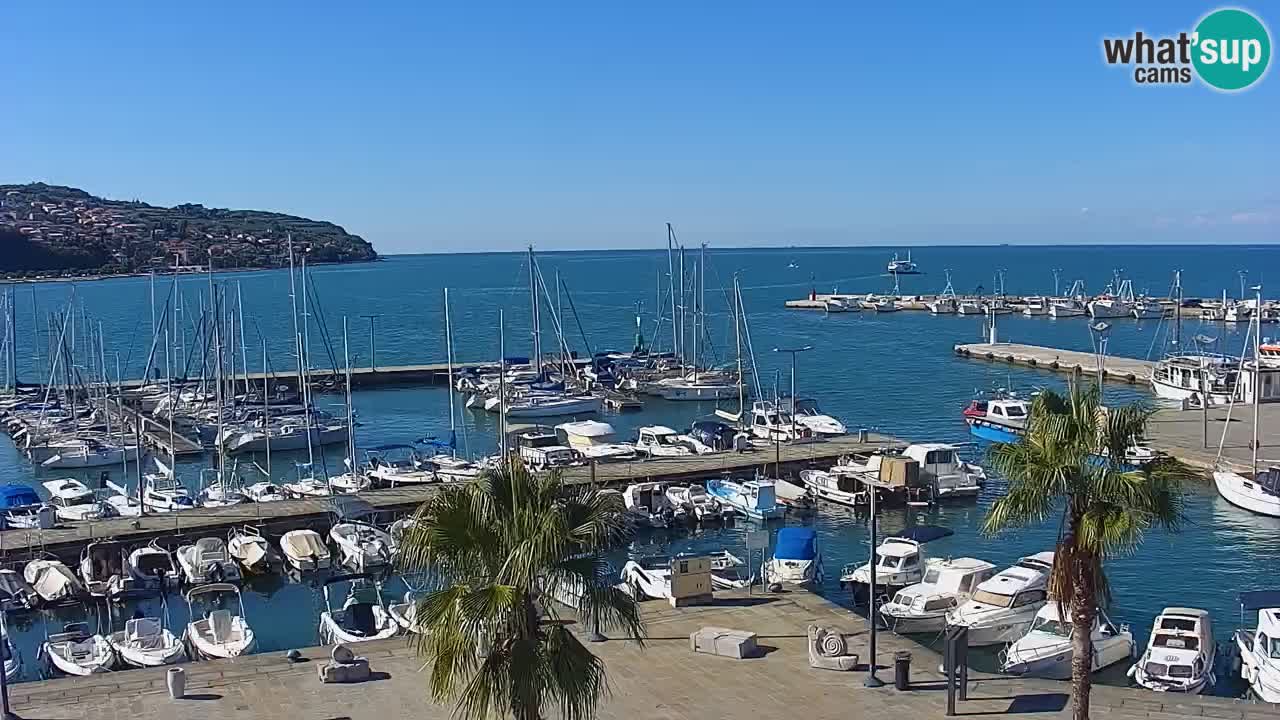Camera en vivo Koper – puerto deportivo y paseo marítimo desde el Hotel Grand Koper