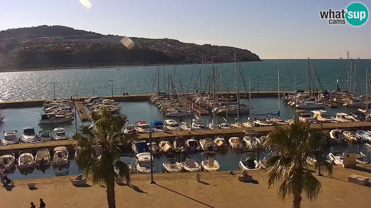 Web kamera Koper – marina i promenada – hotel Grand Koper