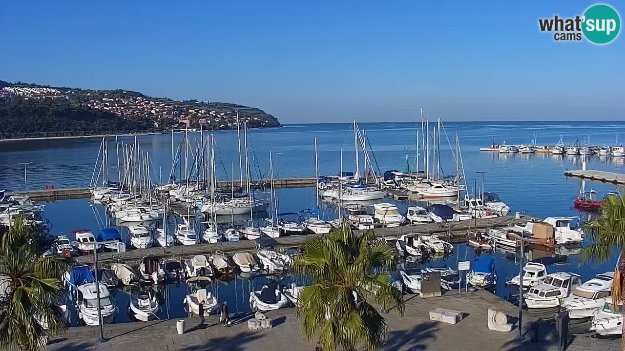Camera en vivo Koper – puerto deportivo y paseo marítimo desde el Hotel Grand Koper