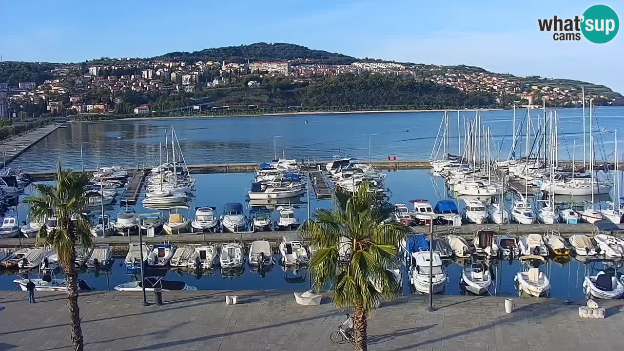 Camera en vivo Koper – puerto deportivo y paseo marítimo desde el Hotel Grand Koper
