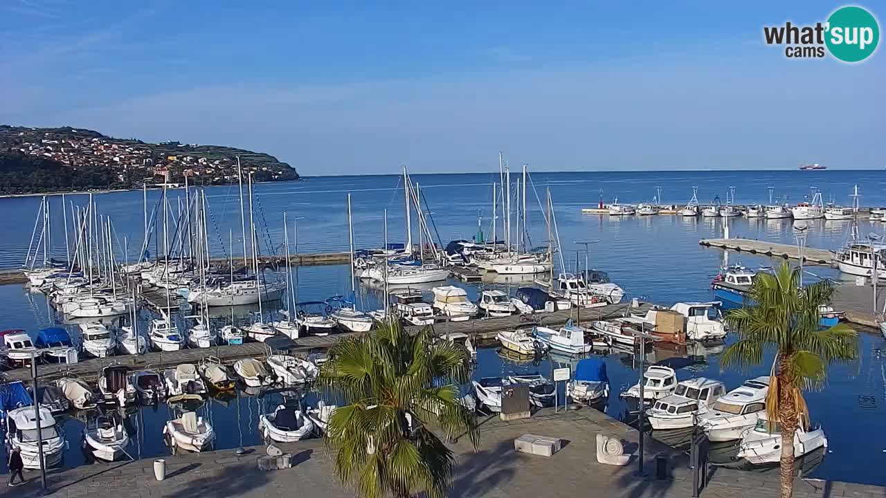 Webcam Capodistria – marina e lungo mare dall’Hotel Grand Koper