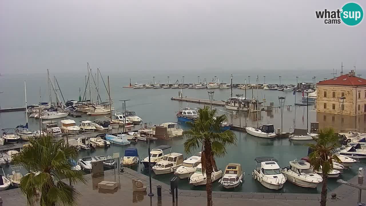 Web kamera Koper – marina i promenada – hotel Grand Koper