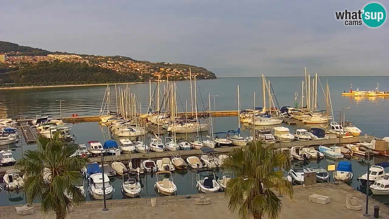 Spletna kamera Koper – Panorama na marino in promenado s Hotela Grand Koper