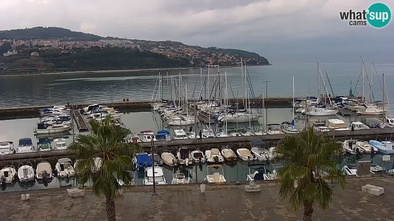 Web kamera Koper – marina i promenada – hotel Grand Koper