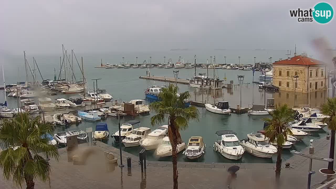 Webcam Koper – Panorama of the marina and promenade from the Grand Hotel Koper