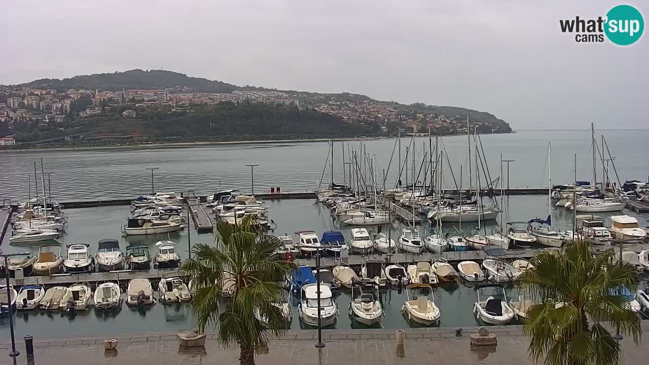 Webcam Koper – Panorama of the marina and promenade from the Grand Hotel Koper