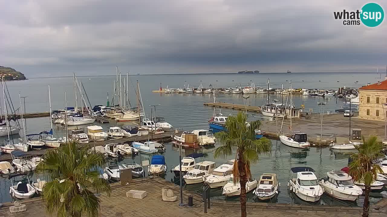 Webcam Koper – Panorama of the marina and promenade from the Grand Hotel Koper