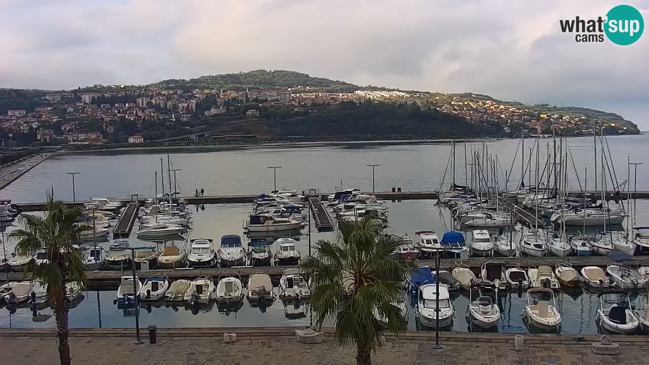 Luka Kopar uživo web kamera – Turistički terminal i teretna luka – Slovenija