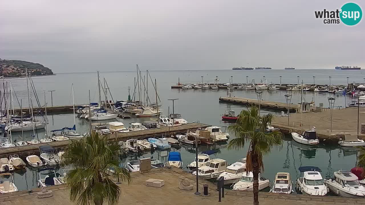 Webcam en vivo del Puerto de Koper – puerto de carga y cruceros – Eslovenia